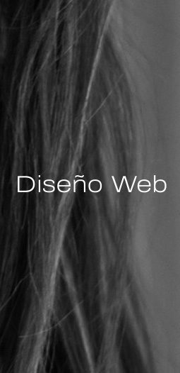 ServiciosDiseñoWeb